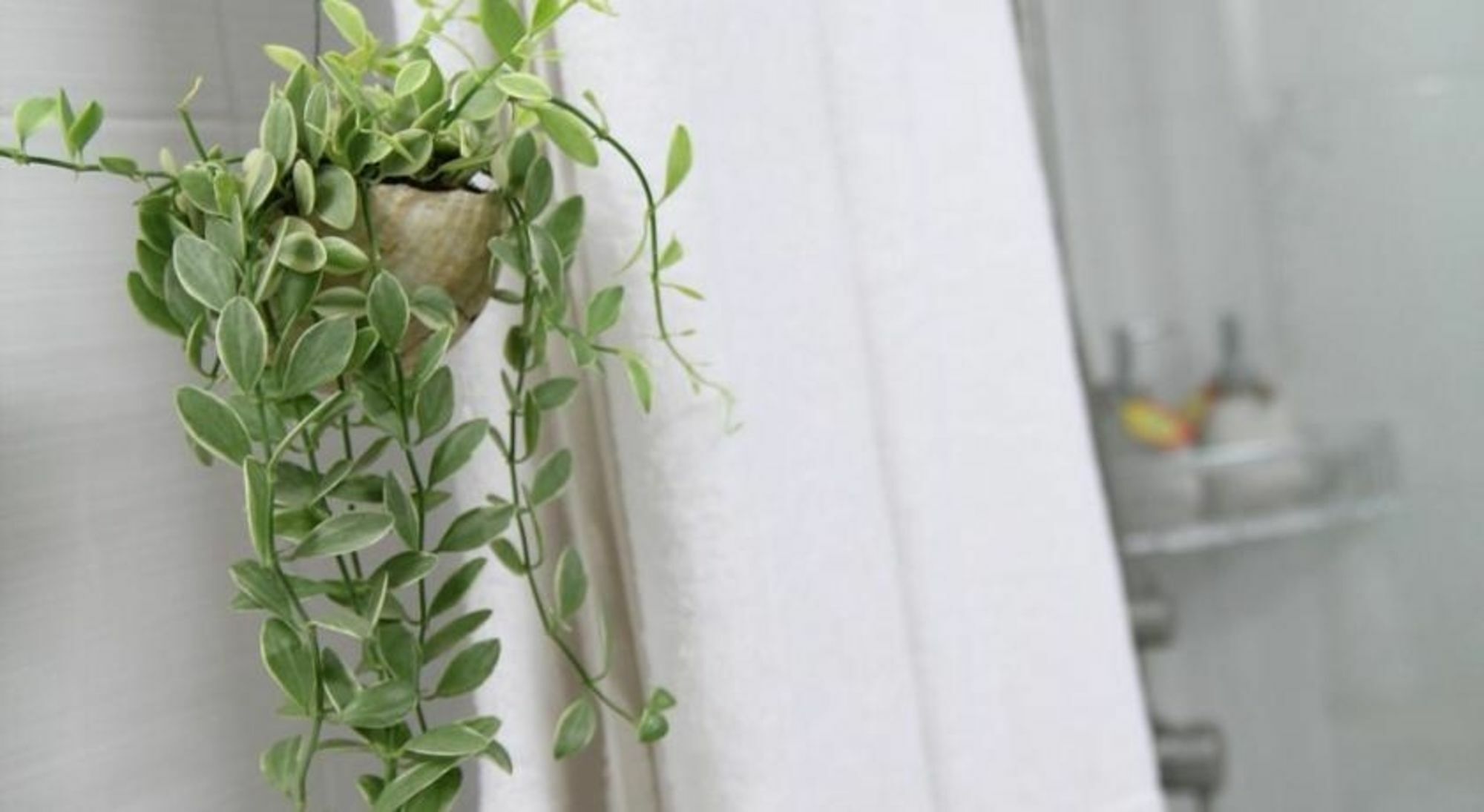 Chez Lotus Hotel TP. Hồ Chí Minh Ngoại thất bức ảnh